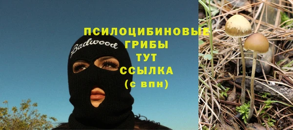 герыч Вяземский
