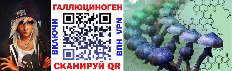 Купить закладки  Ленск  Галлюциногенные грибы Magic Shrooms 